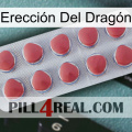 Erección Del Dragón 18